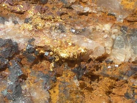 Gold Vein Gold Specimens Natural Gold Gold Mining