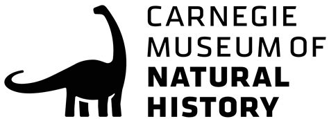 Carnegie Museum Of Natural History The Natural History Museum