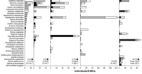 Most Abundant Tree Species 5 Individuals Along A Chronosequence In