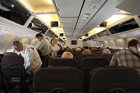 yelltale a place for fun and fine articles 10 most disgusting things flight attendants have seen