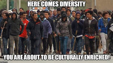 Diversity Is Impoverishing European Countries