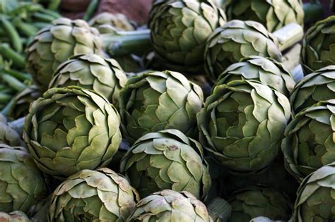 Para ayudar a prevenir o aliviar el estreñimiento, evite los alimentos con poca o ninguna fibra, como Alimentos con fibra para el estreñimiento ¿Cuáles son más ...