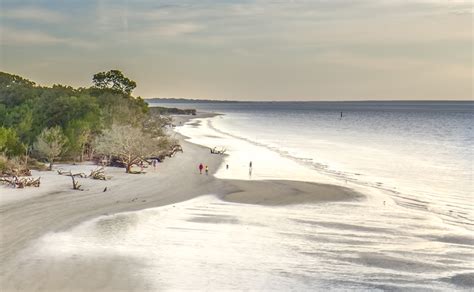 Driftwood beach, famous for its otherworldly driftwood, is within walking distance from the campground. Things to Do on Jekyll Island | Beachview Club Hotel