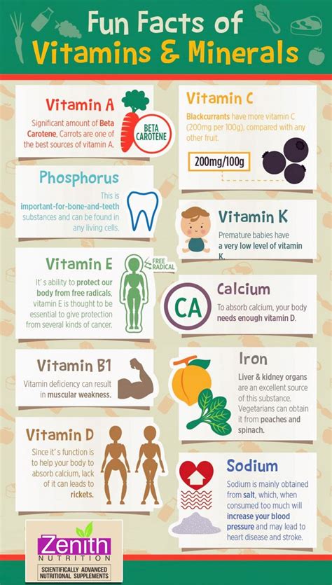 Pin On Vitamins Supplements Infographics