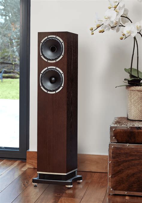 Fyne Audio F501 Review The Absolute Sound