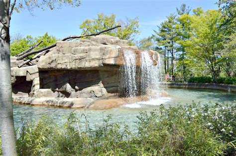 Visit The Cincinnati Zoo And Botanical Gardens Springincincy