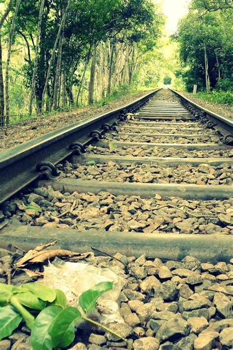 Beautiful Photo Railroad Tracks Track