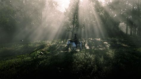Best God Rays Ive Seen In Any Game Pc 1440p Rreddeadredemption2