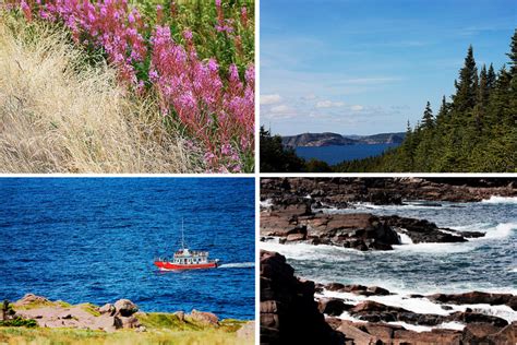 The Beautiful Province Of Newfoundland Live Laugh Rowe