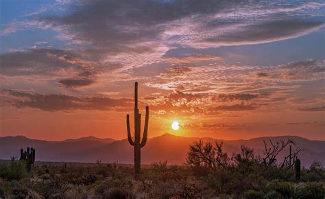 Sunrise In The Arizona Desert With Cactus With Mountain Range