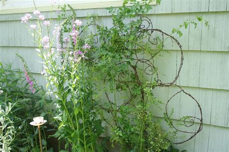 Find out from regular contributor, megan wild. DIY Barbed Wire Trellis - A Mountain Hearth