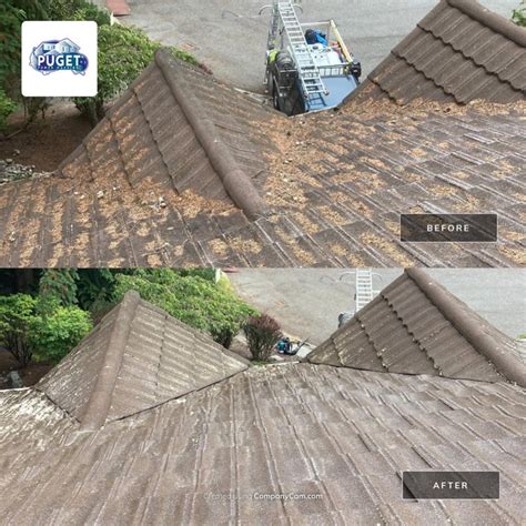 Roof Cleaning Seattle Get A Free Quote Today