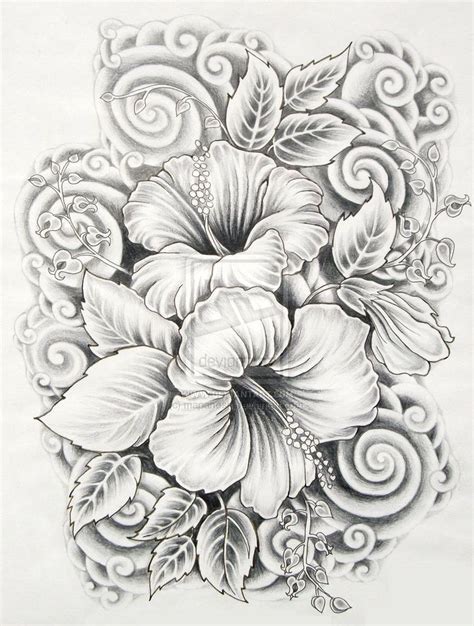 45 beautiful flower drawings and realistic color pencil drawings flower drawing beautiful