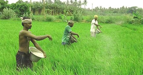 Initiative Towards Making Agriculture A Profitable Business For Farmers