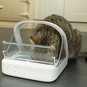 To help you find the feeder that will be perfect for you and your cats, i have put together this list of top 5 selective feeders. SureFeed Microchip Pet Feeder: Amazon.co.uk: Pet Supplies