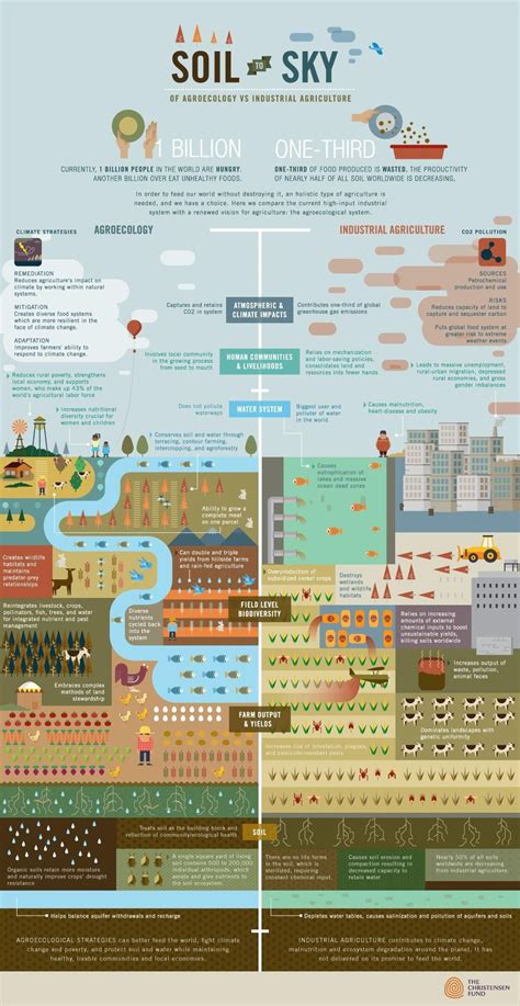 Wheres The 21st Century Approach To Feeding The World Infographic