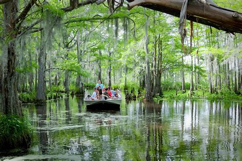 Cajun Encounters Swamp Tour Pick Up New Orleans Swamp Tours Livery