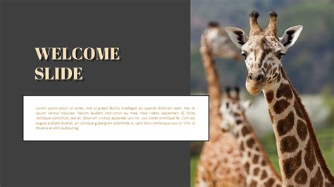 Zoo Powerpoint Templates For Presentation