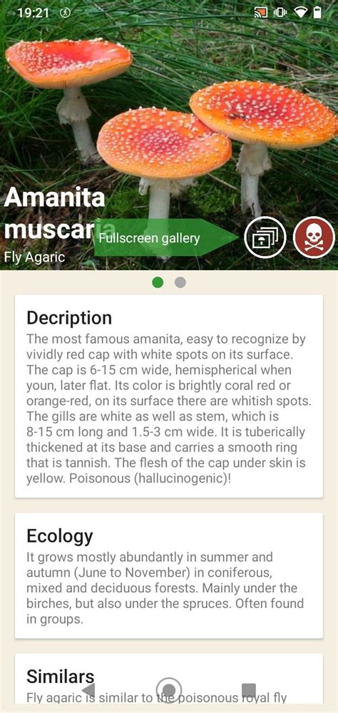 5 best mushroom identification apps for android and ios from dotrepository.com a must for mushroom identification. Mushrooms App 62 - Descargar para Android APK Gratis