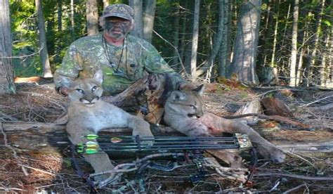 Interview Rod Noahs Two For One Cougar Hunt Outdoorhub