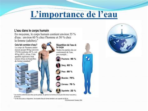 Ppt L’importance De L’eau Powerpoint Presentation Free Download Id 2297853
