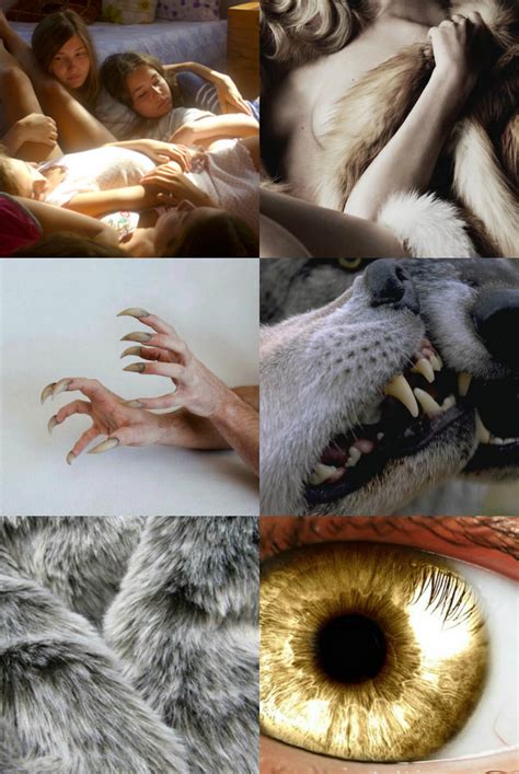 Mythology Aesthetics Werewolvesa Werewolf Is A Human With The Ability