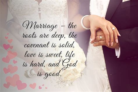 220 Awesome Marriage Quotes Beautiful Marriage Quotes
