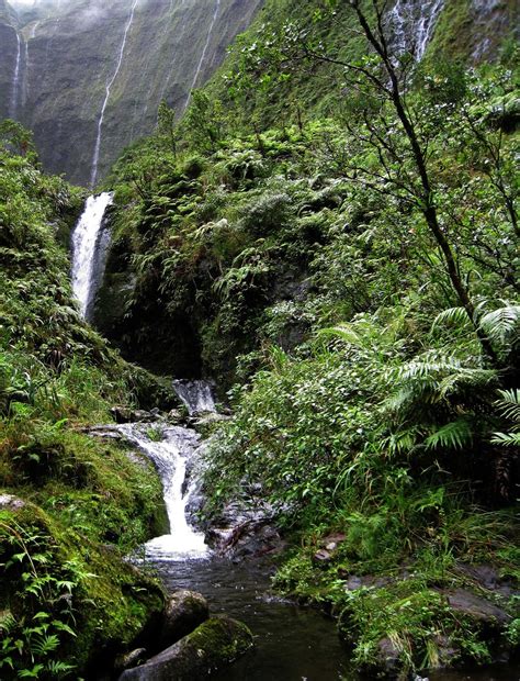 WAIALEALE MOUNTAIN "BLUE HOLE" HIKE - ADAM HAYDOCK