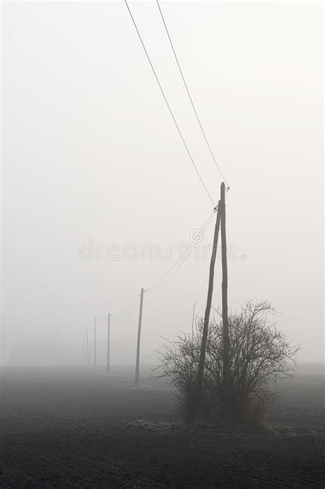 Pylons At Foggy Morning Stock Photo Image Of Outdoors 38810862