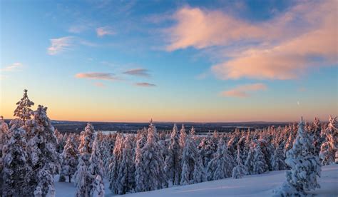 Ultimate Guide To Lapland Activities Hotels And Food Pip And The City