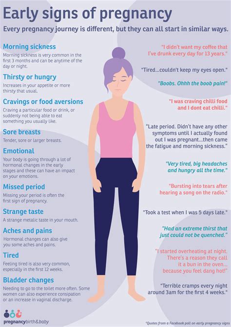 What Are The Early Signs Of Pregnancy Infographic Pregnancy Birth And Baby