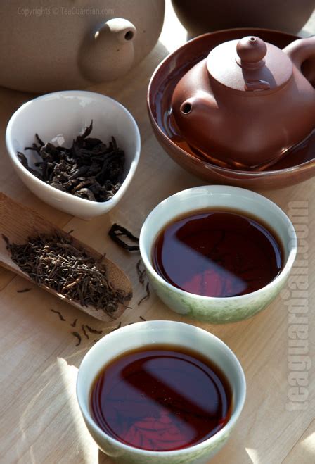#beverages#non alcoholic & alcoholic beverages #tea #coffee #b.sc.part3 botany1st #rehan's biology. Post-fermented Tea (dark tea) - Tea Guardian