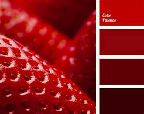 Images By Raghad On Color Combinations E66