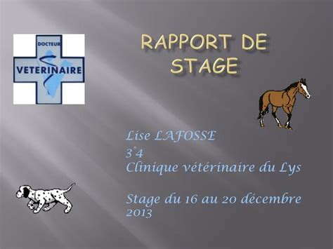 Rapport De Stage 3Eme Veterinaire  Lettre 234