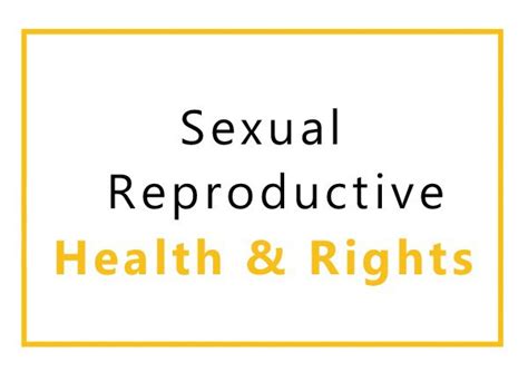 Sexual Reproductive Health And Rights Dandelion Africa