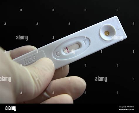 Hcg Negative Pregnancy Test