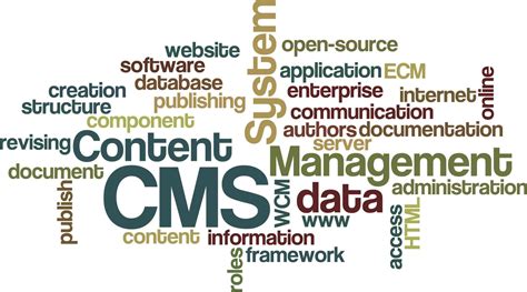 The Importance of a Content Management System in Web Design | Mvestor Media