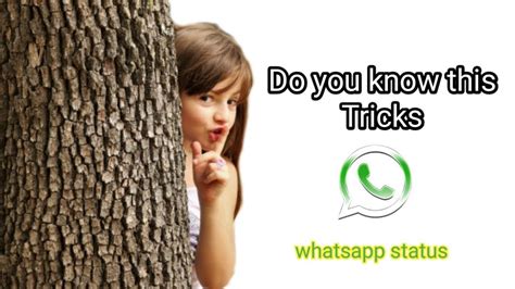 Top 3 Whatsapp Status Tips And Tricks Social Media Users Youtube