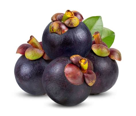 How To Grow Mangosteen From Seed A Comprehensive Guide To Planting And