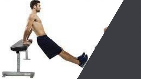 Best Dip Bar Exercises To Gain Muscle Mass
