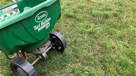The basics of overseeding are the same everywhere, but goals and timing vary based on geography and the type of grass grown. How To Overseed Your Yard - Lawn Care Basics - YouTube