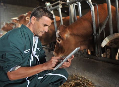 What are the Different Types of Veterinary Technician Careers?