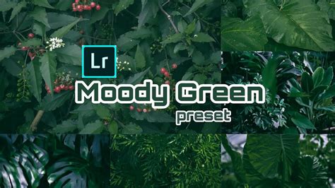 Lightroom presets and photoshop actions | beart presets. Edit Moody Green preset |Lightroom mobile tutorial - YouTube