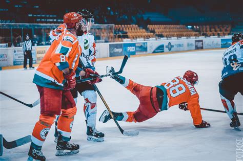 Zagłębie sosnowiec has scored a total of 14 goals this season in 1. KH Energa Toruń - Zagłębie Sosnowiec 5:4 - zdjęcia z meczu ...