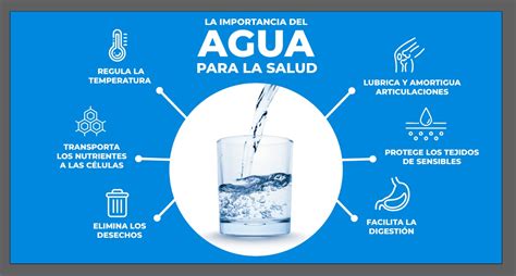La Importancia Del Agua En Nuestro Organismo Natuvit