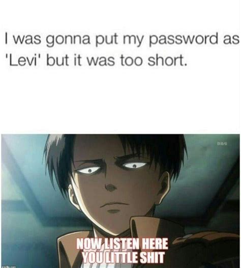 Levi Meme Anime Amino