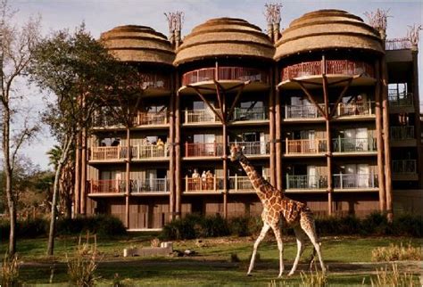 Disneys Animal Kingdom Lodge Updated 2018 Prices And Resort Reviews
