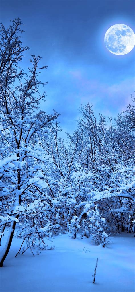 Download 4k wallpapers ultra hd best collection. 1125x2436 Winter Snow Nature 4k Iphone XS,Iphone 10,Iphone X HD 4k Wallpapers, Images ...