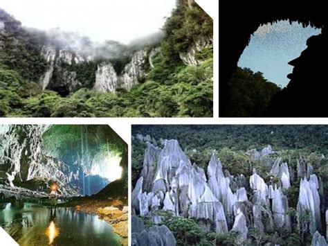 Taman negara (national park) is one of the most popular attractions in malaysia. Keunikan Taman Negara Mulu Untuk Para Penggemar Aktiviti ...