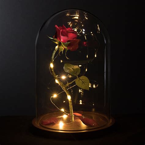 What is a rose in a glass dome? Life-Sized 13" Enchanted Rose that Lasts Forever in Glass ...